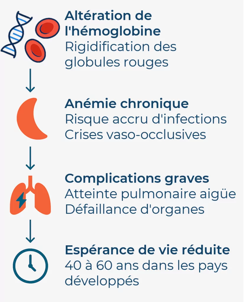 Progression de la drépanocytose